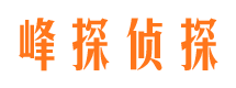 乡宁市私家侦探